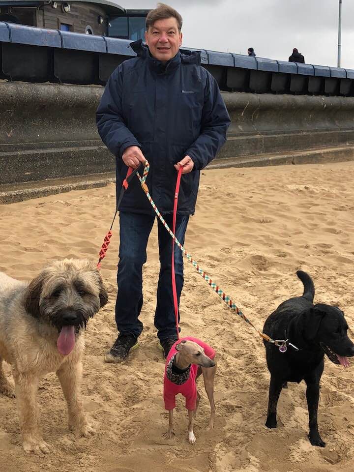 Musicaldogs