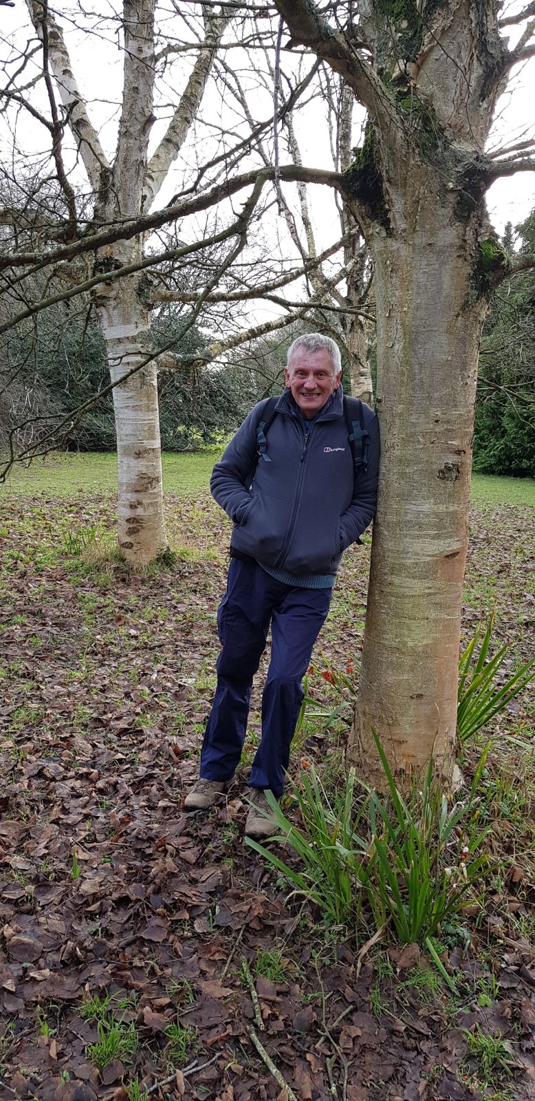 Toffee1949 Toffee1949