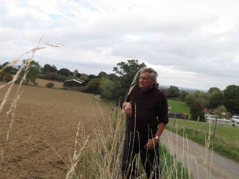 Toffee1949 Toffee1949