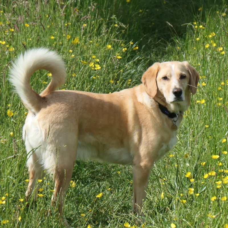 CaminioKid1